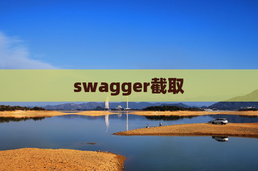 swagger截取